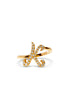 Initialring K