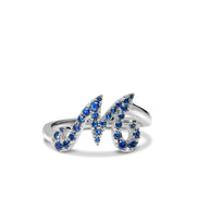 Initialring M