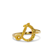 Initialring D