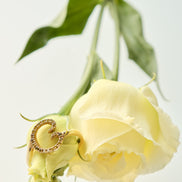Initialring G