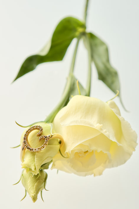Initialring G
