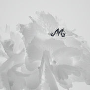 Initialring M