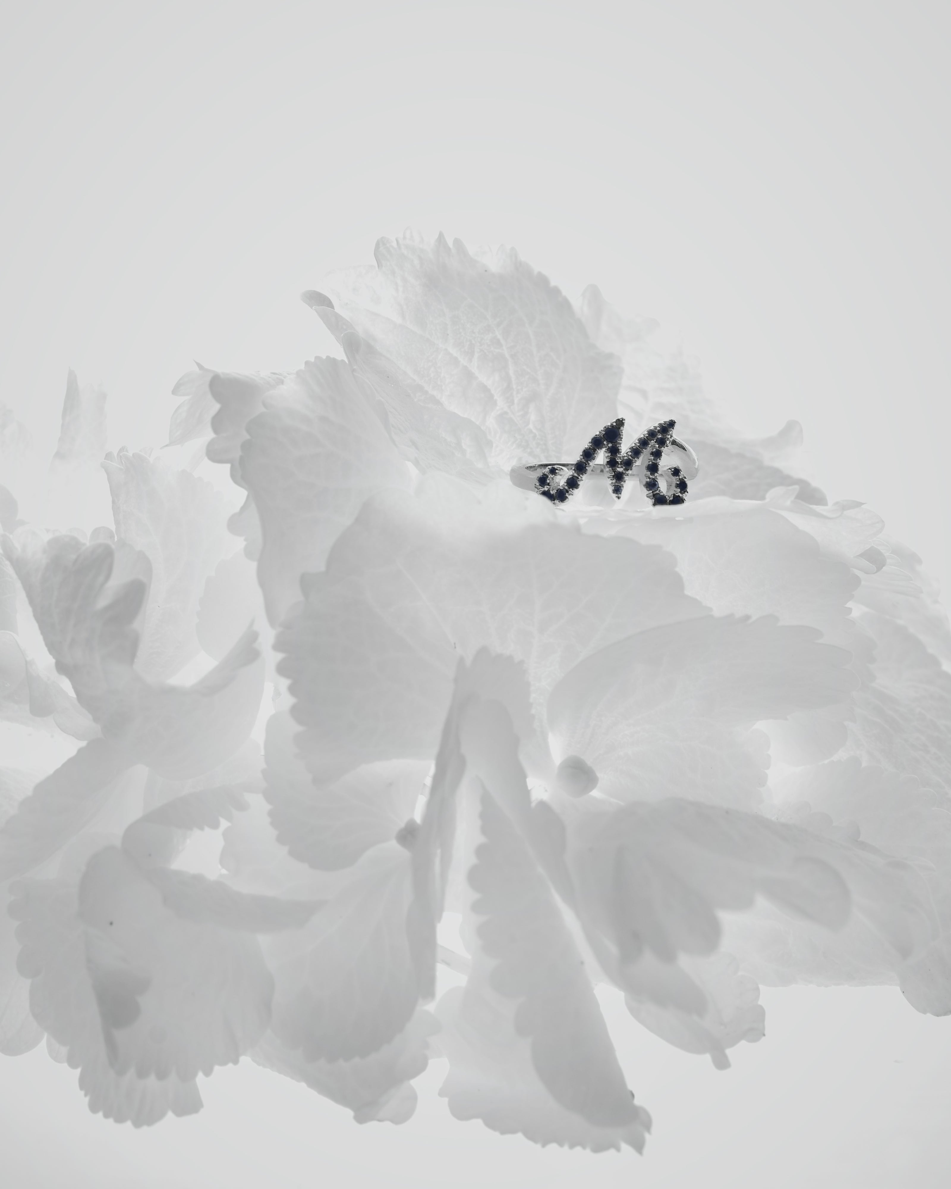 Initialring M