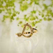 Initialring D