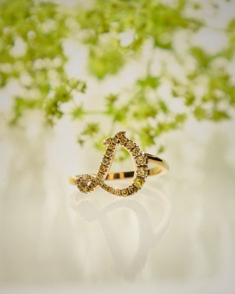 Initialring D