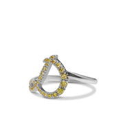 Initialring D