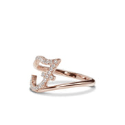 Initialring F