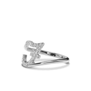 Initialring F